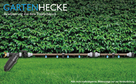 bewässerung hecke tropfschlauch baumreihe